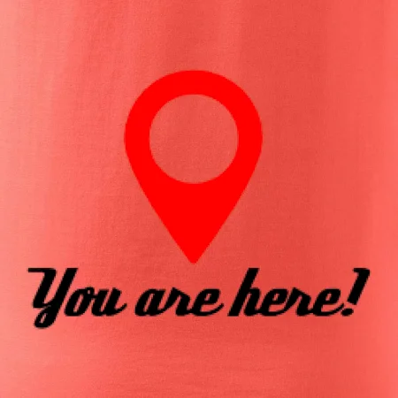 You are here
