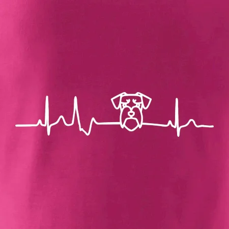 Ekg bradáč hlava