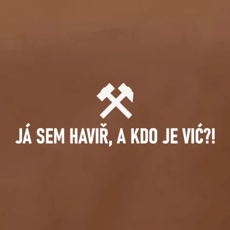 JÁ SEM HAVIŘ, A KDO JE VIĆ?!﻿