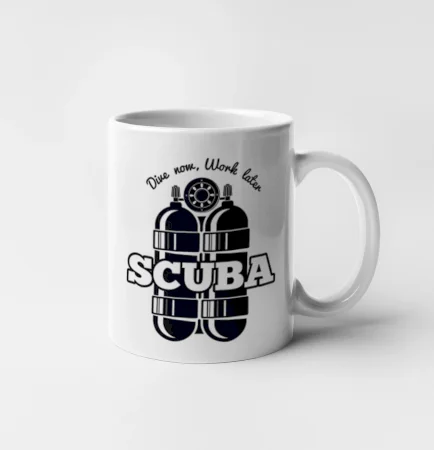 Dive now work later - Scuba
