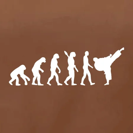 Karate Evolúcia - kop