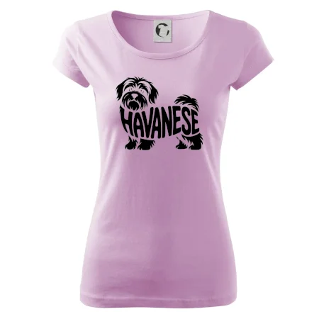 Havanese nápis v tele