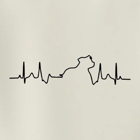 Stafordšírsky bulteriér ‎ EKG