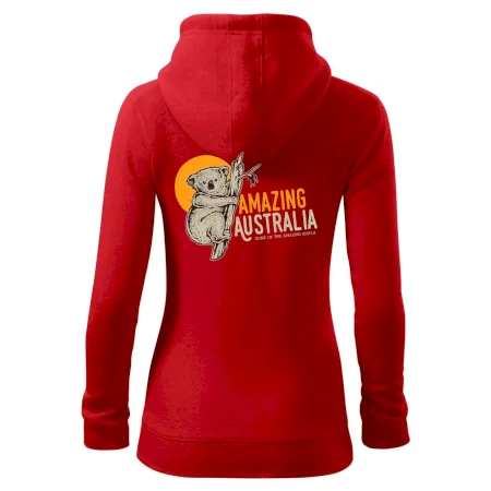 Amazing Australia koala