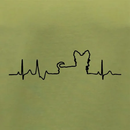 Yorkshirský teriér EKG