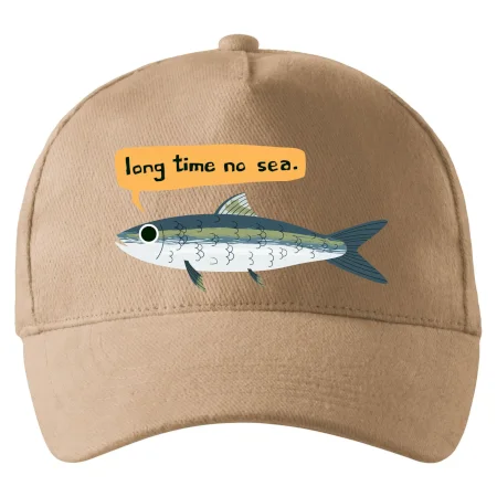Long time no sea