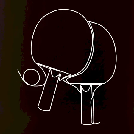 Rakety na stolný tenis jedným ťahom