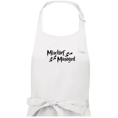 Harry - Mischief Managed
