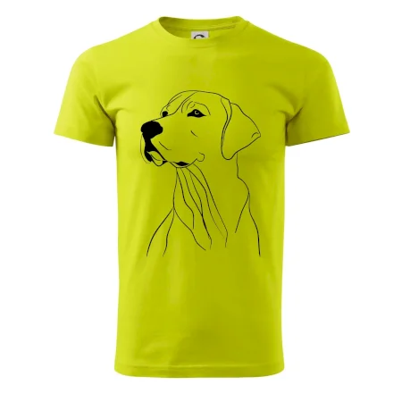 Labrador čierna kresba