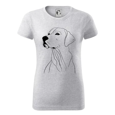 Labrador čierna kresba