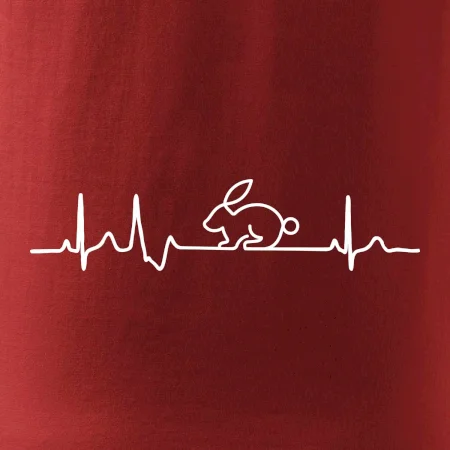 EKG králik