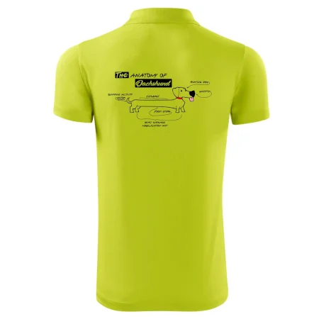 Jazvečík - Anatómia