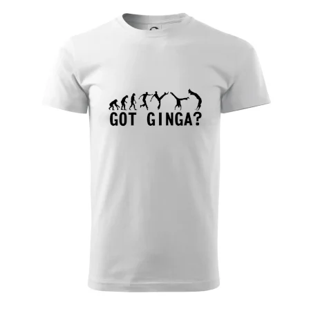 Capoeira - Got Ginga