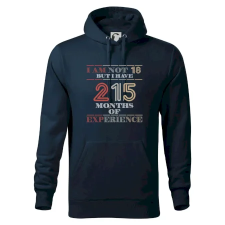 18 years 215 months of experience