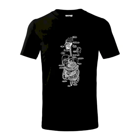 Skica ľudských orgánov