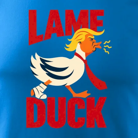 Donald Trump minimalistická kachna