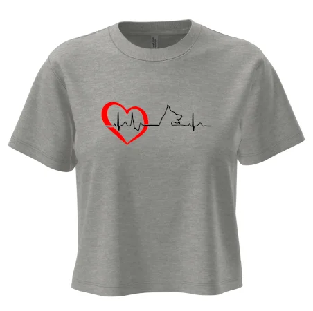 Nemecký ovčiak ekg