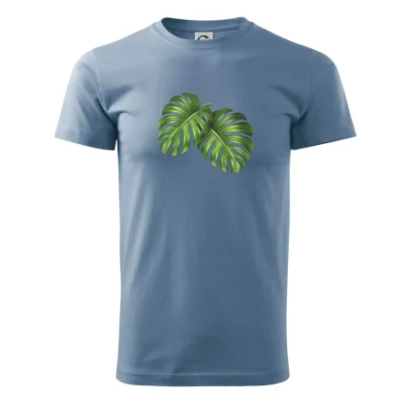 Monstera - dva listy