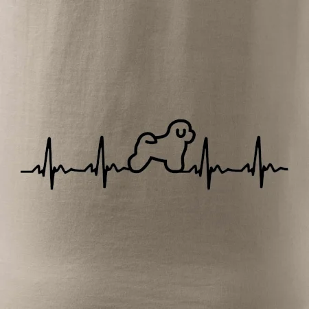 Bišónik ekg