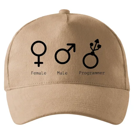 Female male programmer
