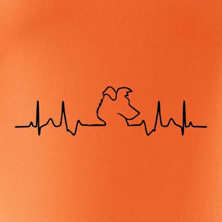 Borderská kólia EKG