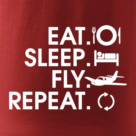 Eat sleep fly repeat