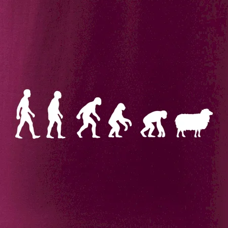 Evolúcia ovce