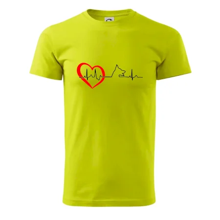 Nemecký ovčiak ekg