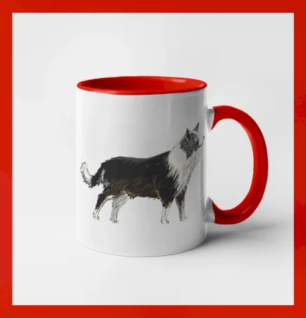 Border kólia kreslená