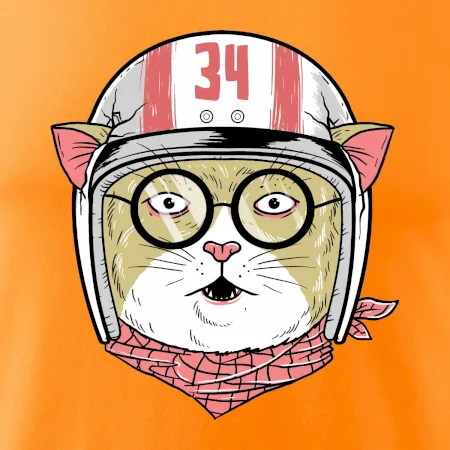 Moto mačka