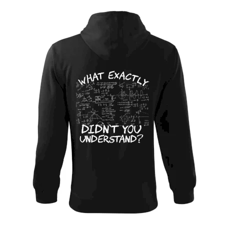 What exactly didn't you understand - physics