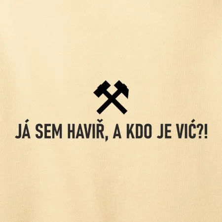 JÁ SEM HAVIŘ, A KDO JE VIĆ?!﻿