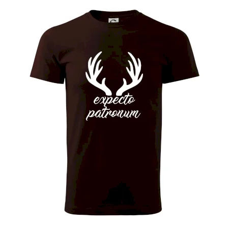 Harry - Expecto patronum