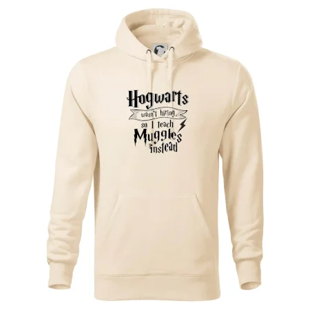 Harry - Hogwarts wasn’t hiring, so I teach Muggles instead