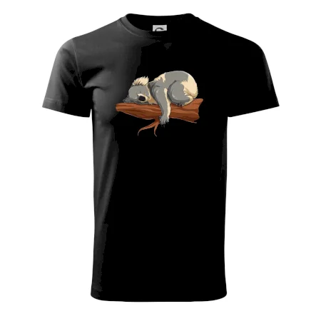 Koala na vetve