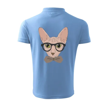 Hipster sphynx