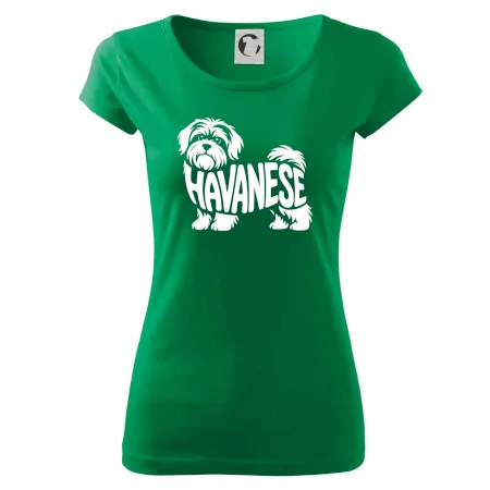 Havanese nápis v tele