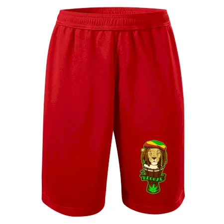 Reggae lev