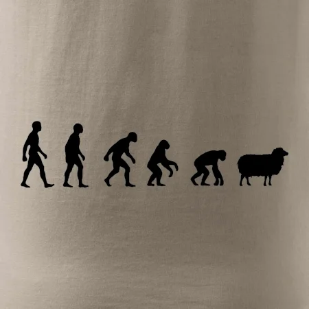 Evolúcia ovce
