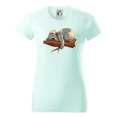 Koala na vetve