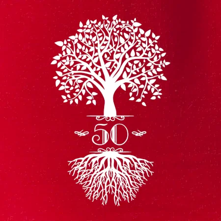Narodeninový strom 50