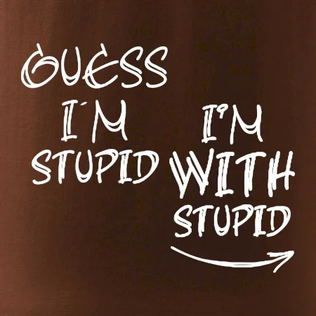 Guess iam stupid