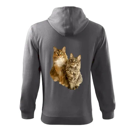 Mačky vectorizované (Moňas)
