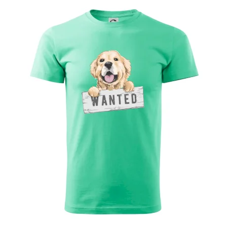 Zlatý retriever - šteniatko wanted