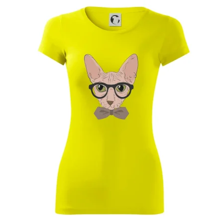 Hipster sphynx