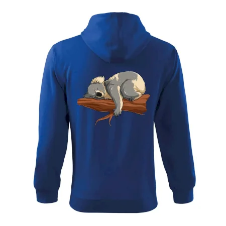 Koala na vetve