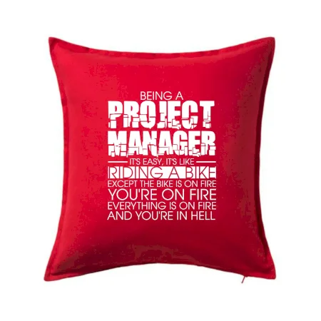 Being A Project Manager - bike