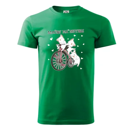 Mačky na bicykli