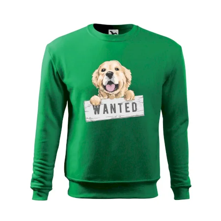 Zlatý retriever - šteniatko wanted