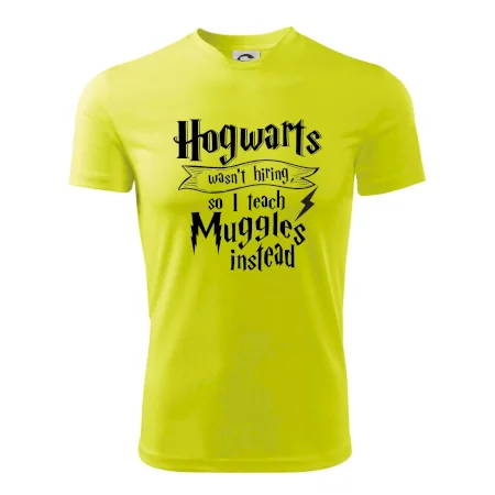 Harry - Hogwarts wasn’t hiring, so I teach Muggles instead